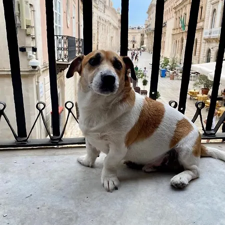 Casa Dei Leoni Syracuse