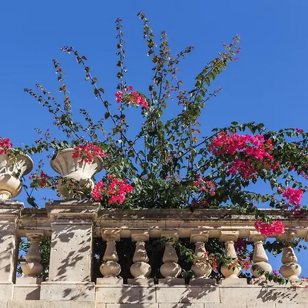 Casa Dei Leoni *